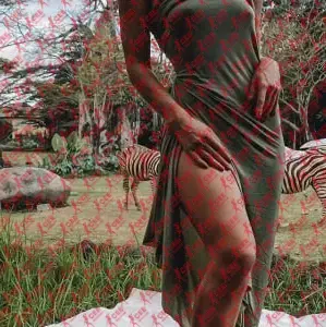 Имя: Тори, Возраст: 27, Грудь: 1